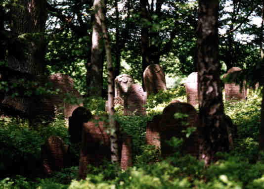 alter Judenfriedhof bei Altengronau / Hessen